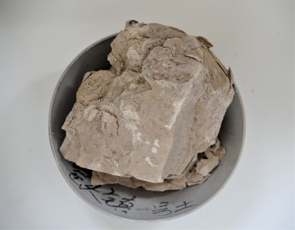 6081e32741e3846d1080e3a5535a817