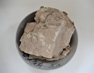 6081e32741e3846d1080e3a5535a817